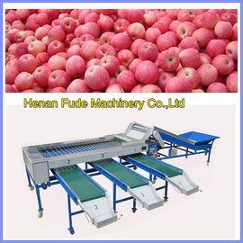 apple sorting machine, mango sorting machine