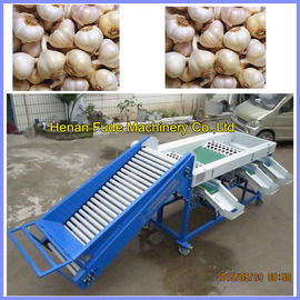 Garlic grading machine , onion sorting machine