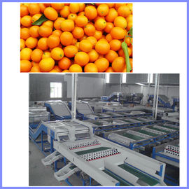 Peach grading machine, citrus sorting machine , orange sorting machine