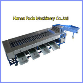 potato grading machine, potato sorting machine, potato sorter, potato grader