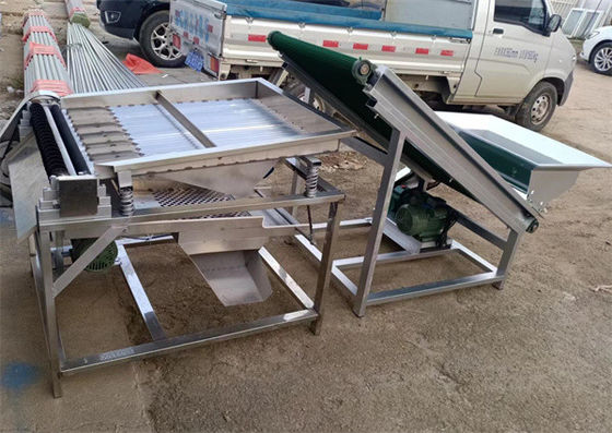 Pea Pod Removing Machine, Fresh Pea Sheller, Pea Shelling Machine 500kg/h