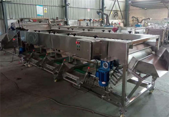 potato sorting machine, potato grading machine, potato sorter, potato grader