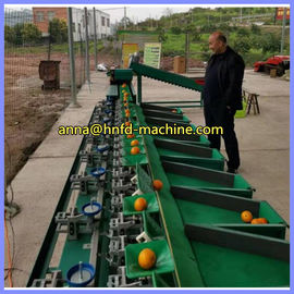 small apple grading machine, dragon fruit sorting machine, kiwi fruit sorter