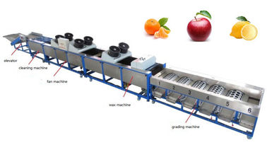 apple cleaning, fan drying, waxing, grading machine, apple sorting machine