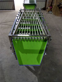 small type apple grading machine, apple sorting machine, apple grader