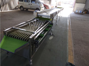 small dates cherry waxberry plum grading machine, dates sorting machine