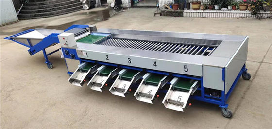 potato grading machine, potato sorting machine