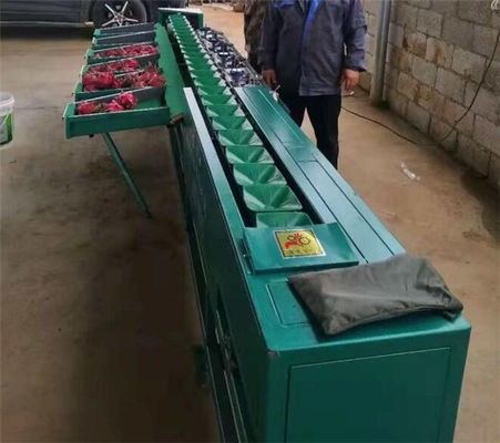 dragon fruit sorting machine, pitaya grading machine, pomegranate sorter