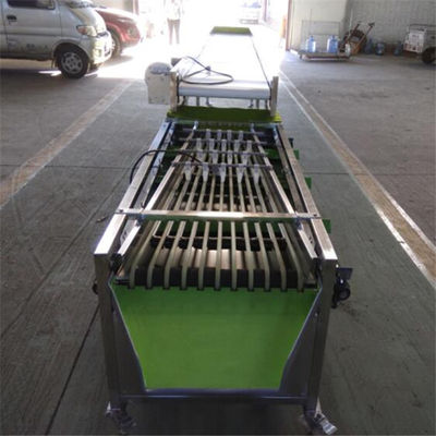 cherry sorting machine, cherry grading machine, cherry grader, cherry sorter