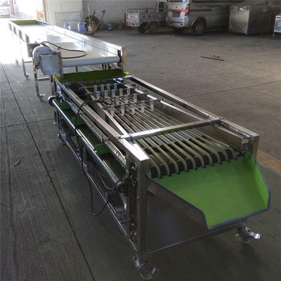 blueberry sorting machine, blueberry grading machine, blueberry grader