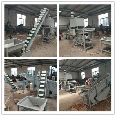 walnut cracker, walnut sheller, walnut processing machines