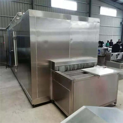 tunnel freezer, frozen peas making machines, fruit instant freezer