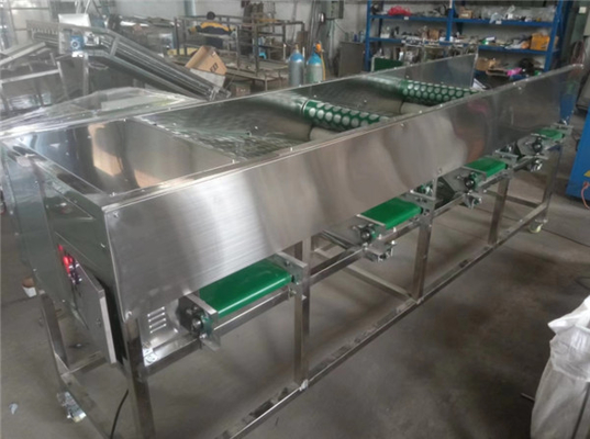 garlic sorting machine, garlic grading machine, garlic sorter, garlic grader