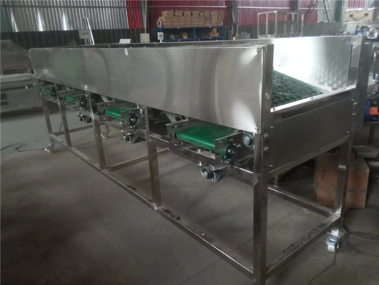 garlic sorting machine, garlic grading machine, garlic sorter, garlic grader