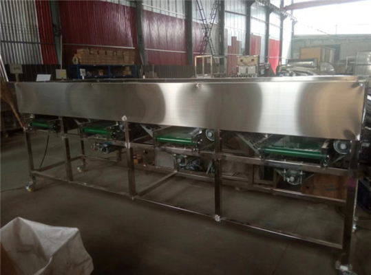 garlic sorting machine, garlic grading machine, garlic sorter, garlic grader