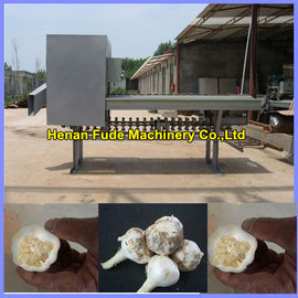 Garlic root cutting machine , dehydrated garlic chips processing machine