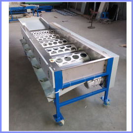 Garlic grading machine , onion sorting machine