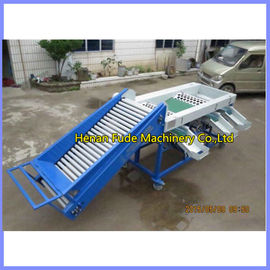 garlic grading machine, garlic sorting machine