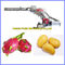 Fruit Cleaning, Waxing, Drying and Grading Production Line