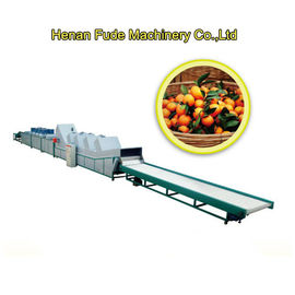 sugar orange sorting machine, sugar orange grading machine