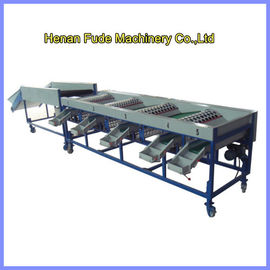 garlic sorting machine, garlic grading machine with brush cleaning