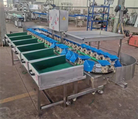 apple grading machine, apple sorting machine, fruit grader sorter