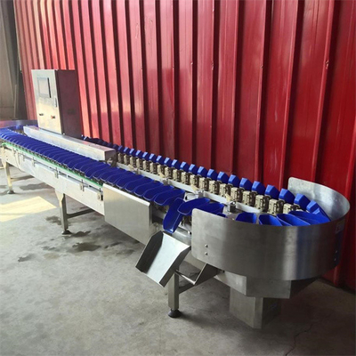 apple grading machine, apple sorting machine, fruit grader sorter