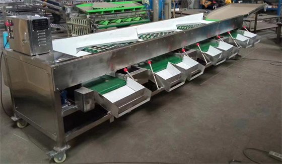 apple grading machine, tomato sorting machine, garlic sorting machine