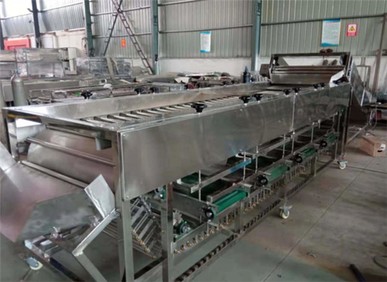 potato sorting machine, potato grading machine, potato sorter, potato grader