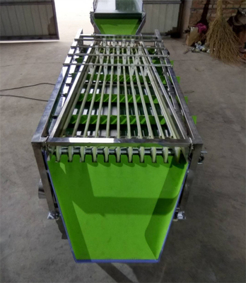 olive sorting machine, dates grading machine, cherry sorting machine