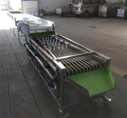 cherry tomato sorting machine, blueberry grading machine, cherry sorting machine