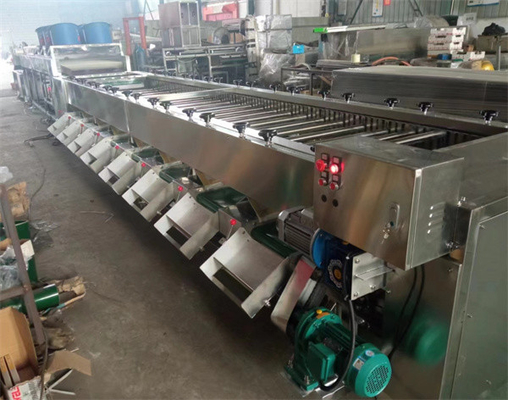 potato washing drying grading machine, potato washing drying sorting line