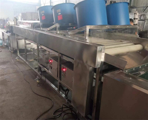 potato washing drying grading machine, potato washing drying sorting line