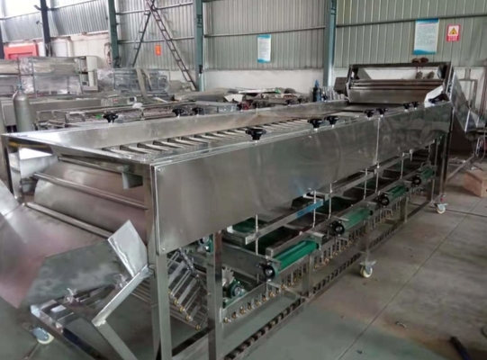 dates grading machine, dates sorting machine, dates sorter, dates grader