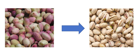 fresh pistachio peeling machine, fresh pistachio shelling machine, pistachio sheller