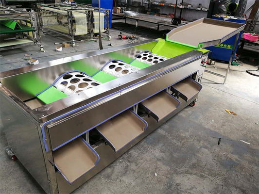 garlic sorting machine, garlic grading machine, garlic grader, garlic sorter