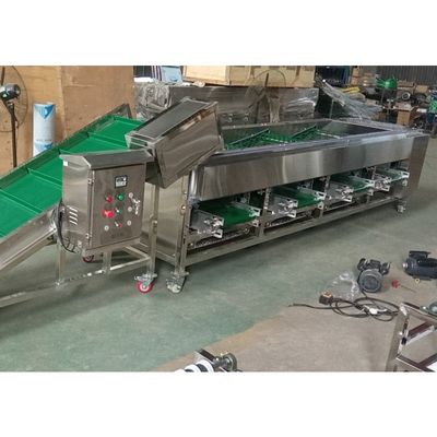 Onion Sorting Machine, Onion Grading Machine, Onion Sorter Machine