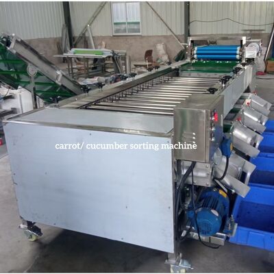 Carrot Sorting Machine, Carrot Grading Machine, Carrot Calibration