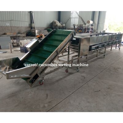 Cucumber Calibration, Cucumber Sorting Machine, Cucumber Grading Machine