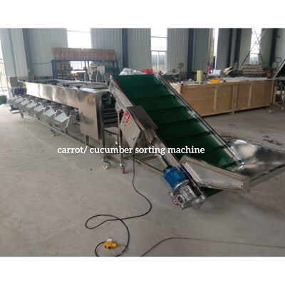 Cucumber Calibration, Cucumber Sorting Machine, Cucumber Grading Machine