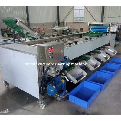 Cucumber Calibration, Cucumber Sorting Machine, Cucumber Grading Machine