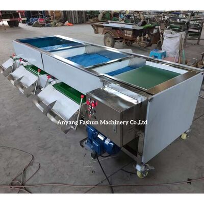Olive Sorting Machine, Olive Grading Machine, Olive Grader Sorter
