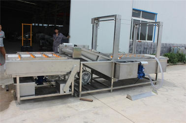 raisin washing drying line, raisin cleaning machine, raisin drying machine