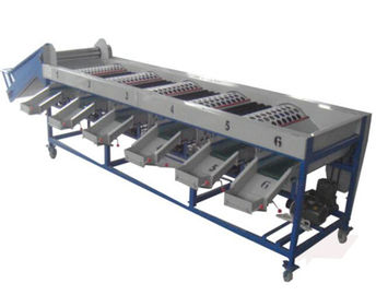 onion sorting machine, onion grading machine, onion sorter, onion grader