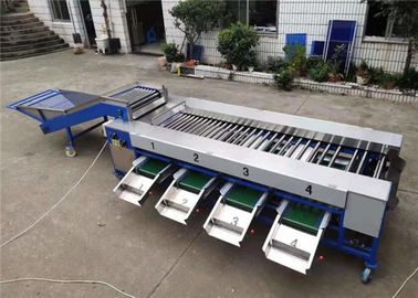 potato grading machine, potato sorting machine, potato sorter, potato grader