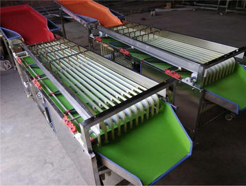 dates washing drying grading machine, dates sorting machine, cherry grader