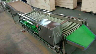 waxberry cleaning drying grading machine, cherry sorting machine