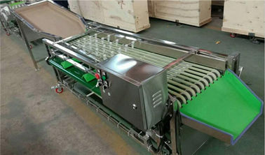 small dates cherry waxberry plum grading machine, dates sorting machine