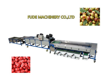 dates cleaning drying grading machine, dates sorting machine