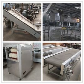 peanut frying line, peanut frying machine, beans fryer, peanut oil roaster